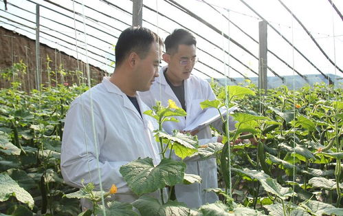 安丘百名檢測員一線把關，筑牢“舌尖安全”防護網